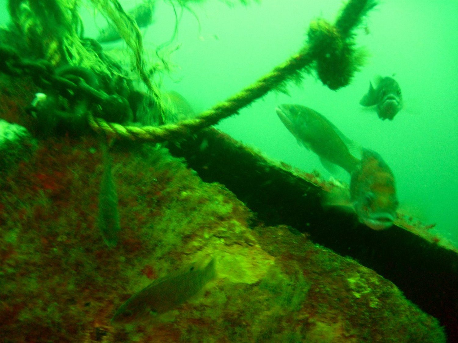 Wreck diving photograph 2