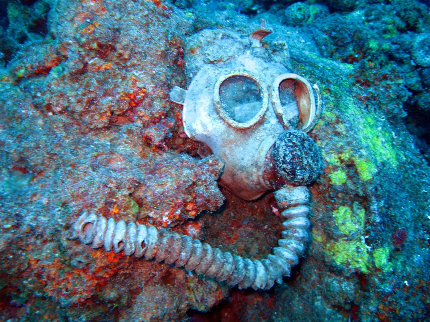 Wreck diving photograph 28