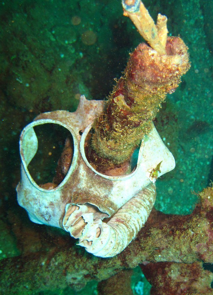 Wreck diving photograph 74