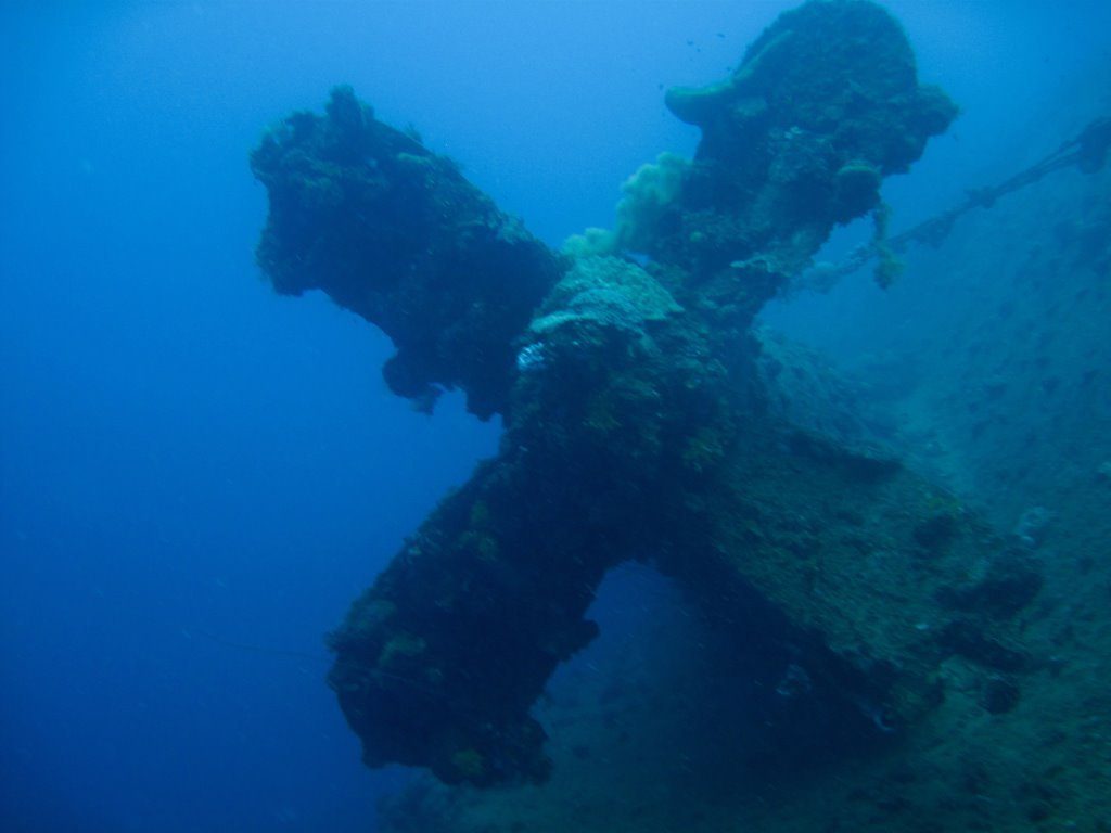 Wreck diving photograph 81