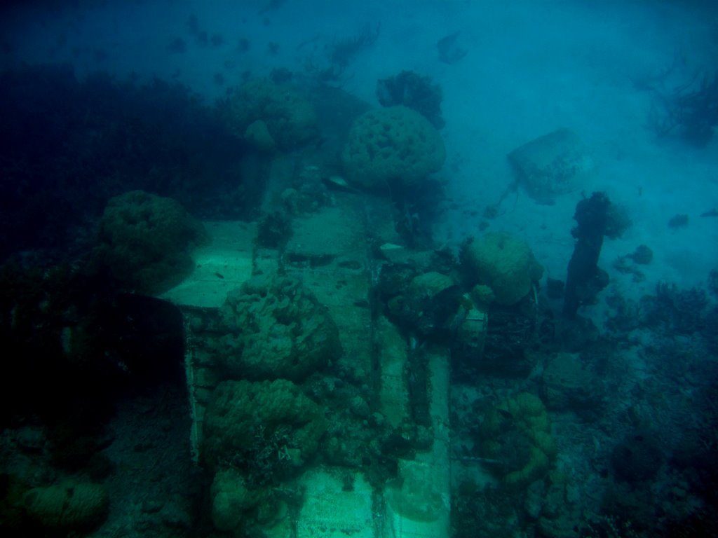 Wreck diving photograph 99