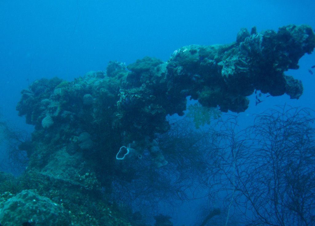 Wreck diving photograph 104