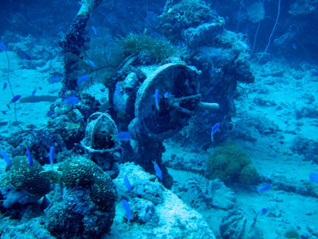 Wreck diving photograph 116