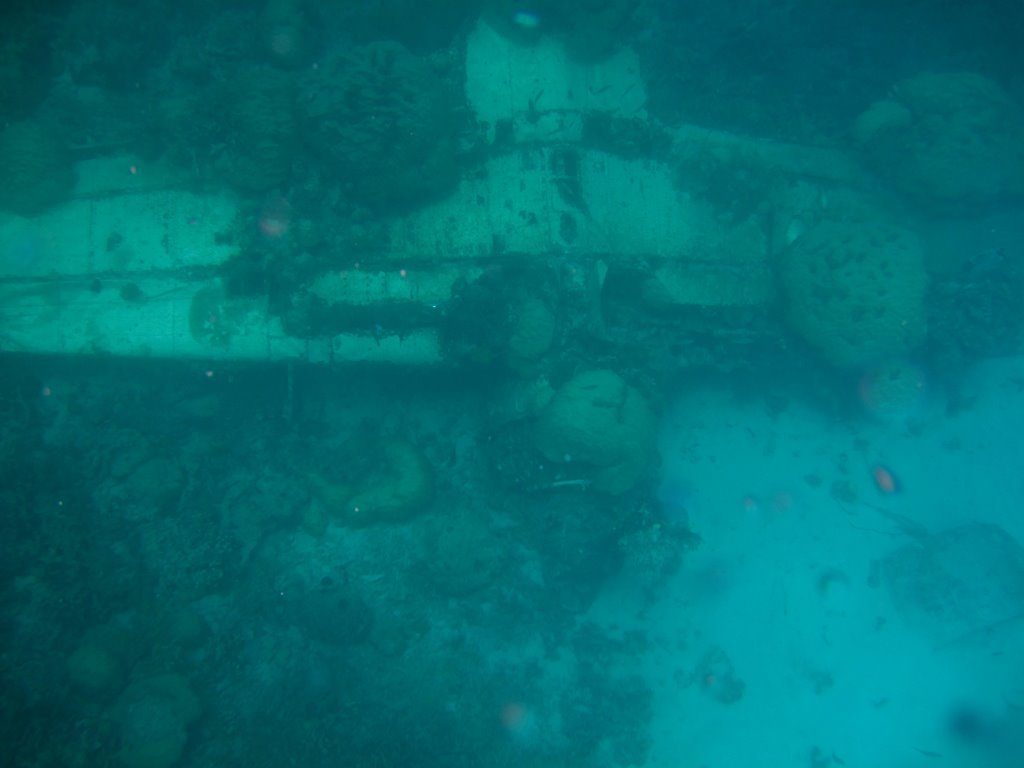 Wreck diving photograph 118